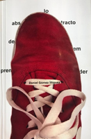 portada del libro, retrato de Daniel, ilustración abstracta